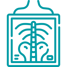 Digital X-Ray