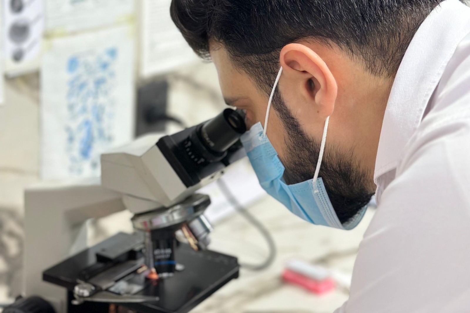 Alimran Medical Lab