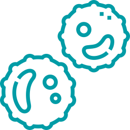 White blood cell (WBC) count: